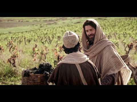 Video Inspirador: Nunca es demasiado tarde