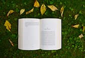 A book on a bed of grass and leaves