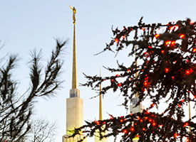 Washington DC temple spires with tree branches with red Christmas lights