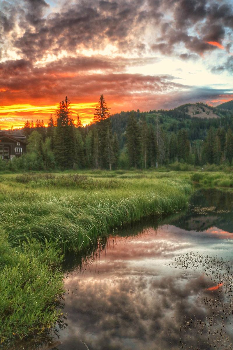 A still, small river running along a bank of tall grass at sunset.